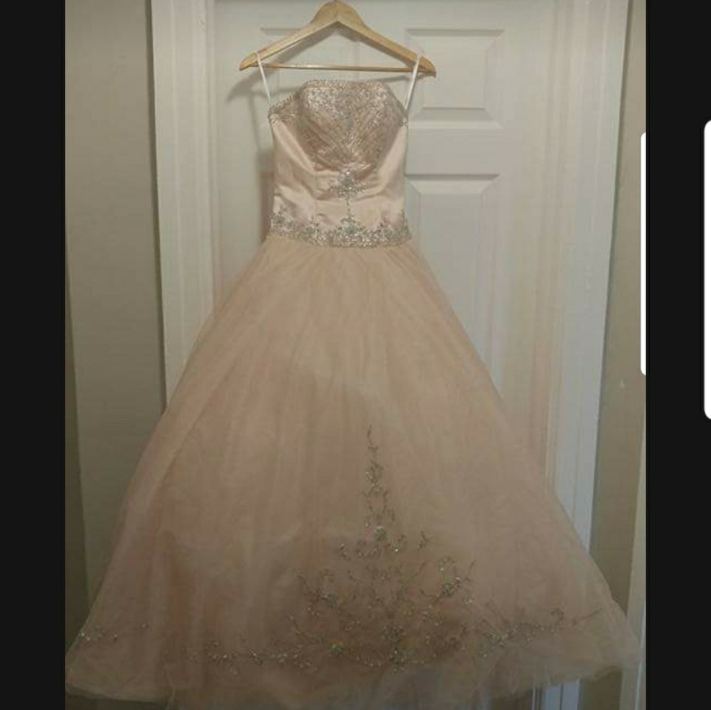 Stunning Peach Gown!